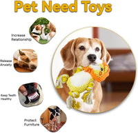 Stuffed Squeaky Dog Toys toys.
