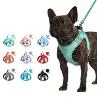 no-pull dog harness with leash