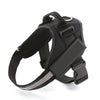 reflective dog harness leash