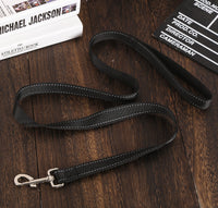 reflective dog harness leash