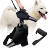 reflective dog harness leash