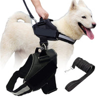 reflective dog harness leash